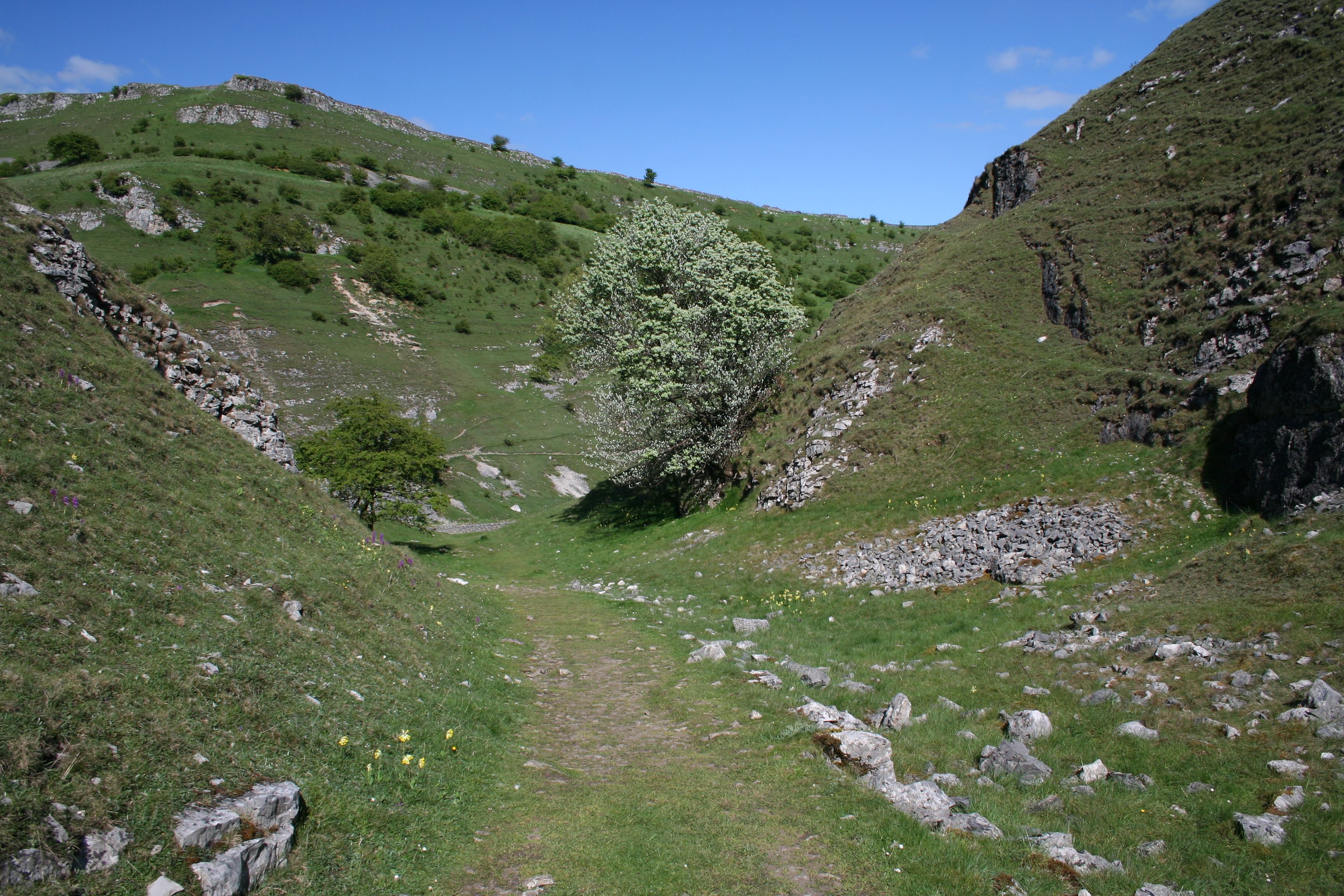 Tansley Dale in May 2009